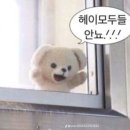스마트치과 네이버블로그