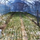 송하농장 이미지