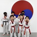 국가대표 탑 태권도장 이미지