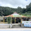 밤나무식당 | [원주 가족 외식 추천] 초복에 우연히 찾은 물놀이장 있는 백숙 맛집 치악산밤나무집 내돈내산후기 🐓