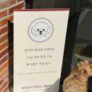 카페프리제