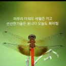 "한양도성의 '다산성곽길'과 남산둘레길의 '소나무 힐링숲길' 산책"＜2023.08.26(토)＞ 이미지