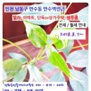 만수 공인중개사사무소 이미지