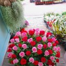 백송이꽃화원 이미지