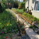 해피투데이 2 이미지