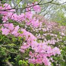 산덕마을 | 지리산 바래봉 겨울 산행기｜눈꽃 설경과 안전산행의 중요성