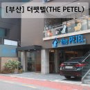 희야네 애견미용실 | [부산] 반려견 동반 부산 여행 숙소 '더펫텔(THE PETEL)'