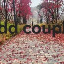 For delay dementia 1,106 Power english 이미지