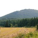 오름행정사무소 이미지