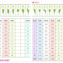 경기 화성 명문골프장회원권~ 기흥cc시세 에 대해서 알려드릴께요~