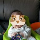 버드시아 이미지