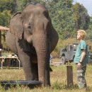 와일드 동물병원 이미지