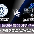 다시 돌아온 특집야구 생중계 이미지