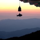 도일 행정사 사무소 이미지