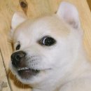 기분