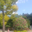 원성발전 이미지