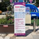 동대문구청 | 동대문구청 물놀이장 방문 후기 (무료이용, 예약)