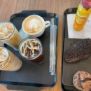 몰리힐스(MOLLI HILLS) 이미지