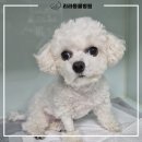 리라동물병원 이미지