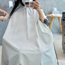 살롱드담