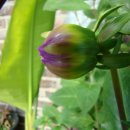 801하우스 이미지