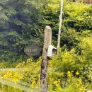 평창로그하우스 이미지