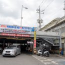 숙성시장길 | 목포 동부시장 홍어 제대로 즐긴 날! 저온숙성의 깊은 맛 홍어장군 솔직 후기