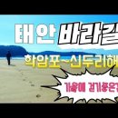 [벙개버스] 26. 6. 3 제 82차 태안 바라길 (학암포-구례포-신두리해변길) 현 44 이미지