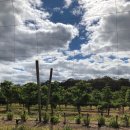 남기농장 이미지