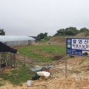 팔영산 흑염소 이미지