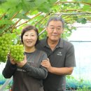(주)놀이터컴퍼니