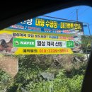 월성카 | 경남 거창 현지인 맛집 월성계곡산장 닭백숙 제대로