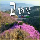 4월11일(토)고려산(낙조대)+진달래꽃길 좌석방안내 이미지