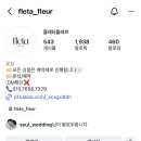 플레타플레르
