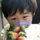 정수태권도장 이미지