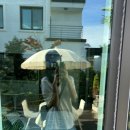 제주the힐118