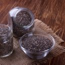 씨드요가 이미지