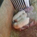 서희농장 이미지