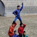 풍년청과 이미지