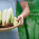홍천농협동부지점 네이버블로그
