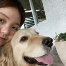 카페138일 이미지