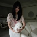 퍼피라이프 이미지