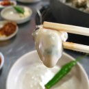 경운네