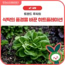 식탁풍경 이미지