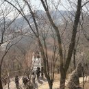 (주)화담 | [일상_4월 첫째 주 주중_3]: 화담숲 봄시즌 후기!(feat. 하지만 벚꽃이 없는)