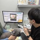 양주동물병원 이미지