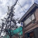 청운사 | 내돈내산! 지인 추천받고 간 첫 신점? 또 가고싶은 42년 경력 암사역 신점맛집 '청운사' / 사주질문리스트