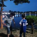 영천본가 이미지