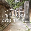 흥덕왕릉 화장실 | 경주 안강읍 흥덕왕릉에서 정혜 사지 십삼층 석탑까지 역사여행 :: 경주 가볼 만한 곳 경주여행