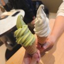 산본로323번길 16-26(중앙분수대 옆 벤치) | 군포 신상 카페 폴바셋 산본역점 우유 말차 아이스크림 후기